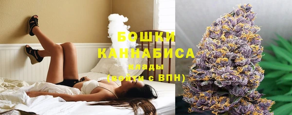 молекула духа Рославль