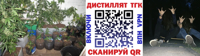 ТГК гашишное масло  цена   Мосальск 