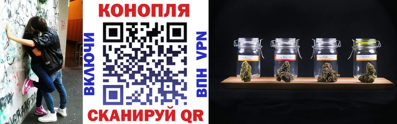 Конопля марихуана сколько стоит Мосальск